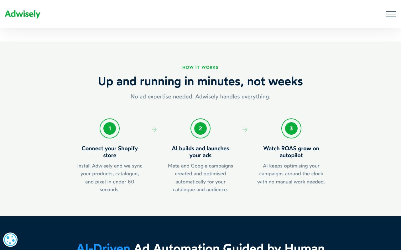 Adwisely screenshot 3