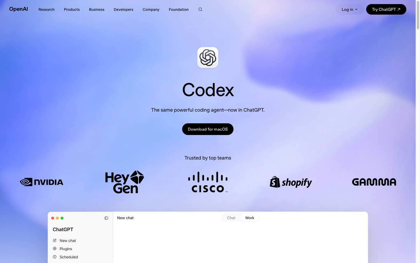OpenAI Codex screenshot 1